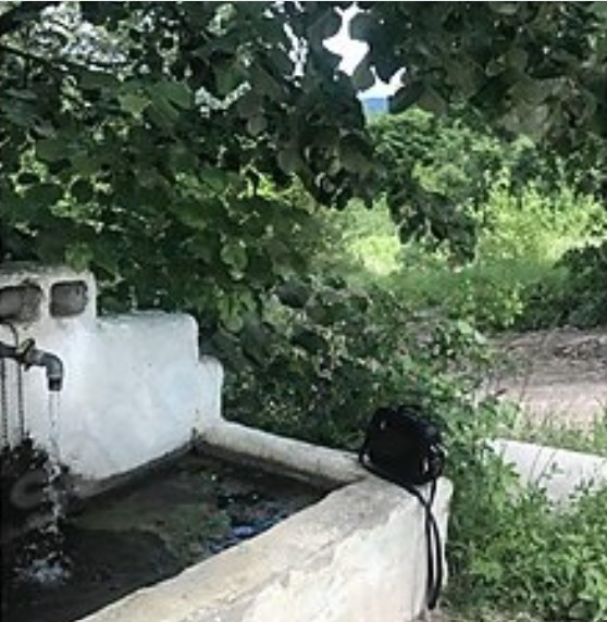 YALOVA ÇİFTLİKKÖY  DEREKÖYÜ’NDE 9.872  M²  MEYVE BAHÇESİ SATILIKTIR - YALOVA ÇİFTLİKKÖY fotoğraf 10